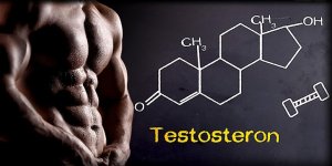 Testosteron – charakterystyka, funkcje, objawy niedoboru i nadmiaru