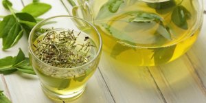 Zielona herbata – sprzymierzeniec zdrowego trybu życia
