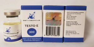 Testosterone Enanthate (GEN-Medicals) - TESTO E