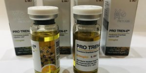 Trenbolone Enanthate (Pro Labs)