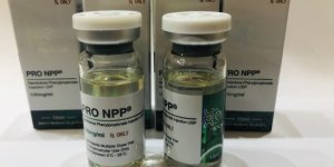 Nandrolone Phenylpropianate (NPP) (Pro Labs)