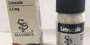 Letrozole (Maximus Pharma) - 50 Tabletek